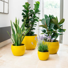 Keramicky květináč Romulus - Žlutý