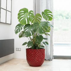 Keramický květináč Mars Císařsky červený – ručně vyráběný glazovaný květináč z terakoty