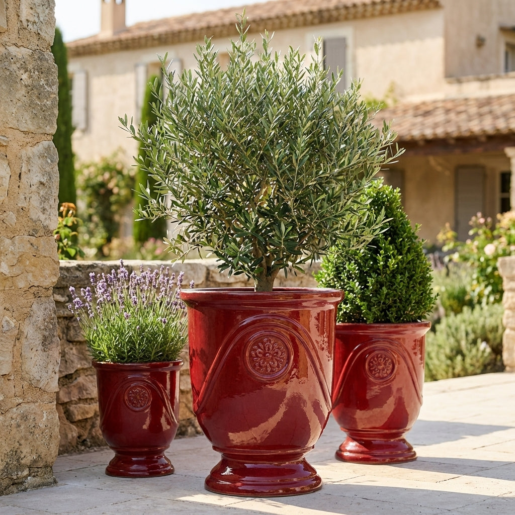 Keramický květináč Moliere Císařsky červený – ručně vyráběný glazovaný květináč z terakoty s ozdobným reliéfem a olivovníkem na slunné terase vily.