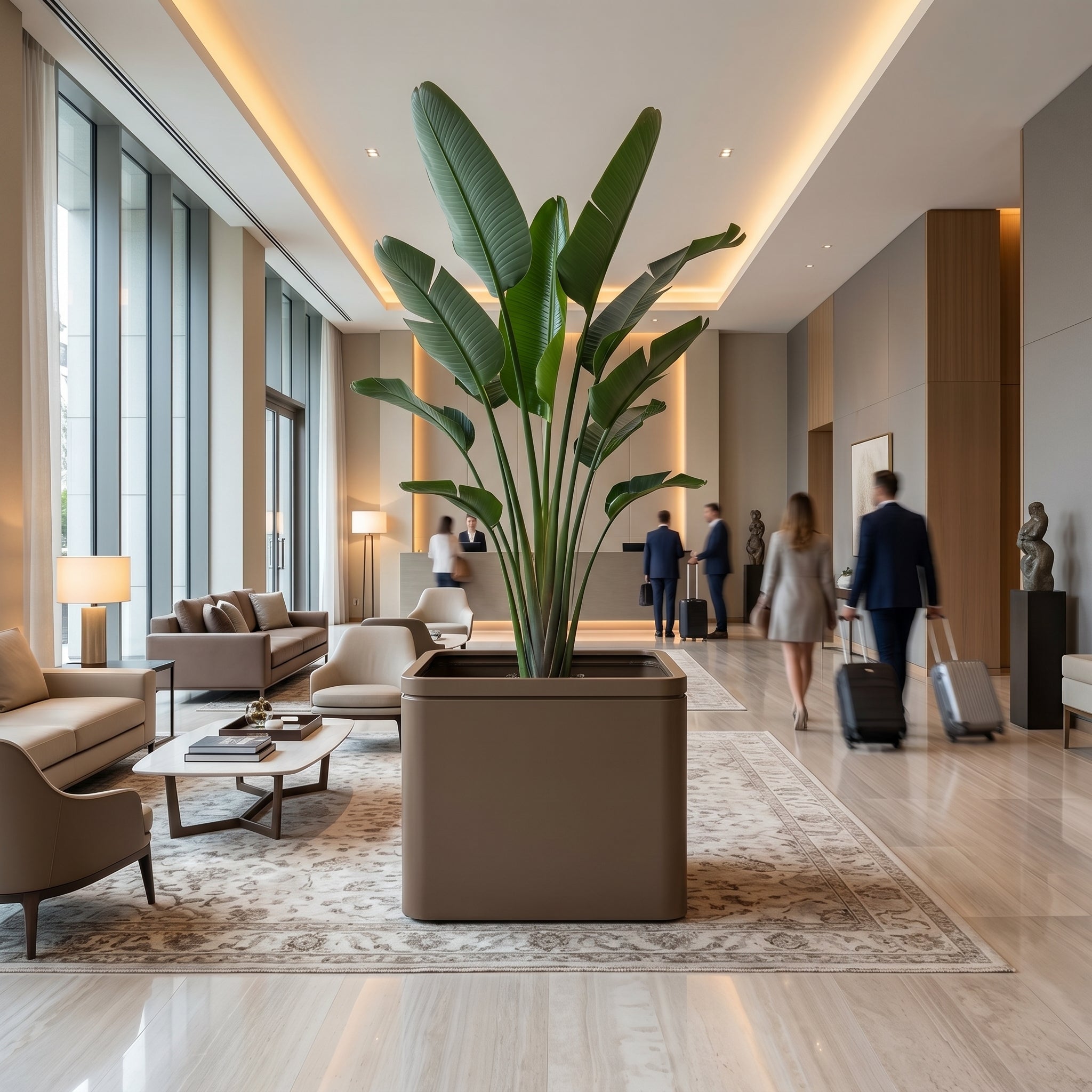 Velký pozinkovaný ocelový květináč INFINITY SQUARE - Šedohnědá - XXL (80 x 80 x 60 cm) s rostlinou Strelitzia nicolai jako dominanta v interiéru moderního luxusního hotelového lobby.