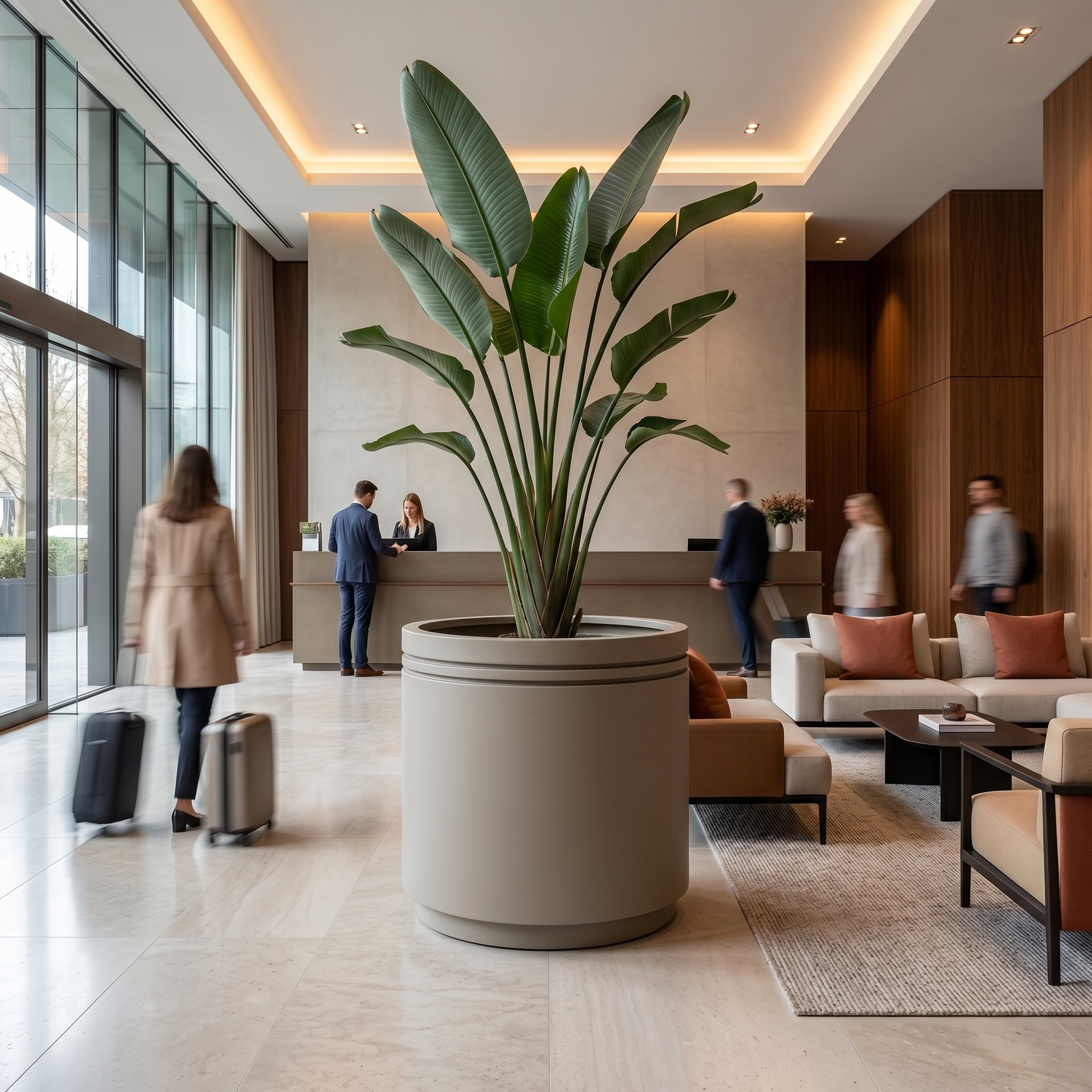 Velký pozinkovaný ocelový květináč INFINITY ROUND - Šampaňská - XXXL s rostlinou Strelitzia nicolai v luxusním moderním hotelovém lobby s hosty.