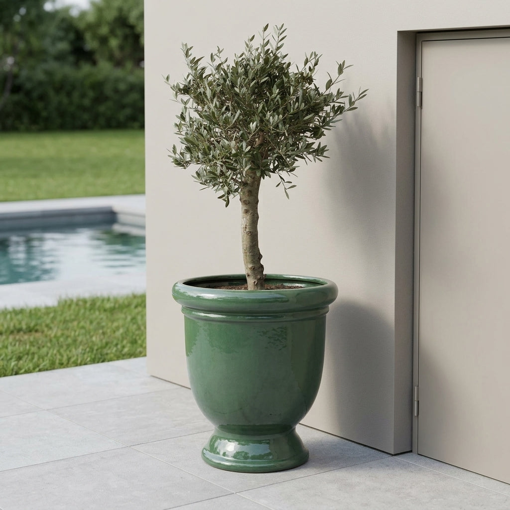 Olivenbaum-Set + Titan 72×75 cm Jade