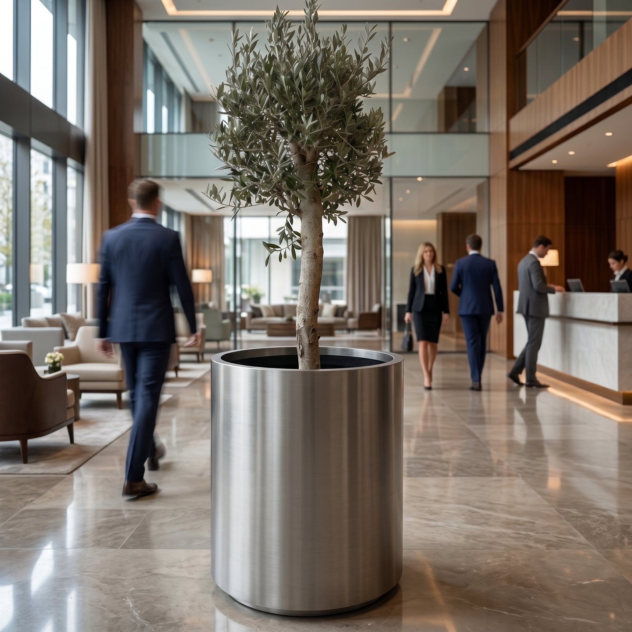 Olivenbaum (starker Stamm) im Topf METROPOLE 60×70cm — Gebürsteter Edelstahl