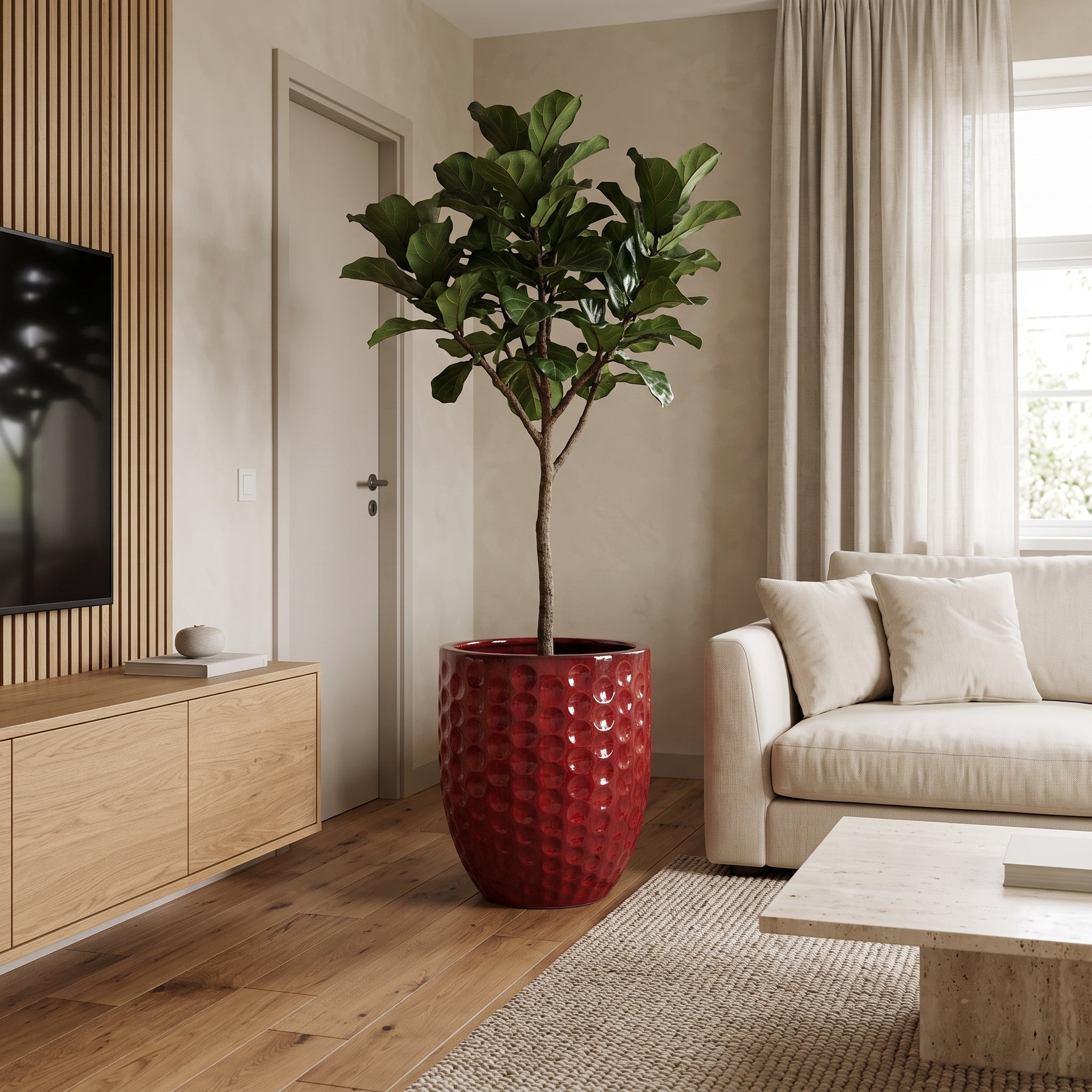 Keramický květináč MEROVEE - Tropická červená - XXL (55 cm x 65 cm) s rostlinou Ficus lyrata v elegantním skandinávském obývacím pokoji.