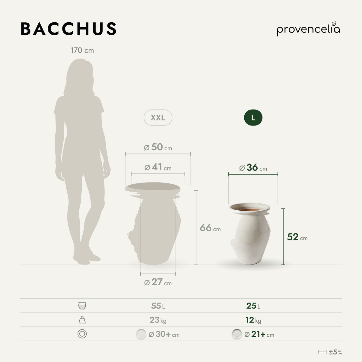 BACCHUS L – Maße