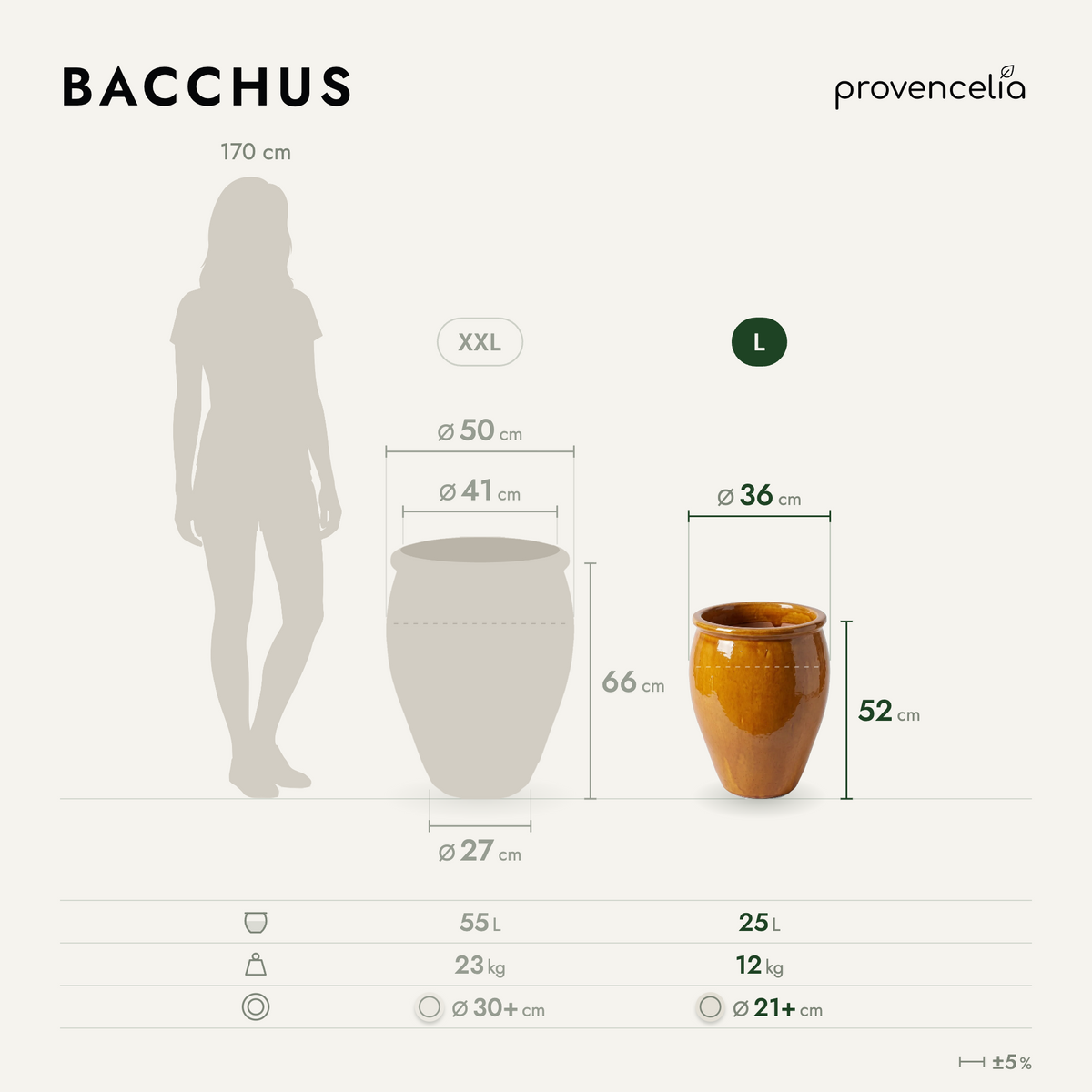 BACCHUS L – Maße