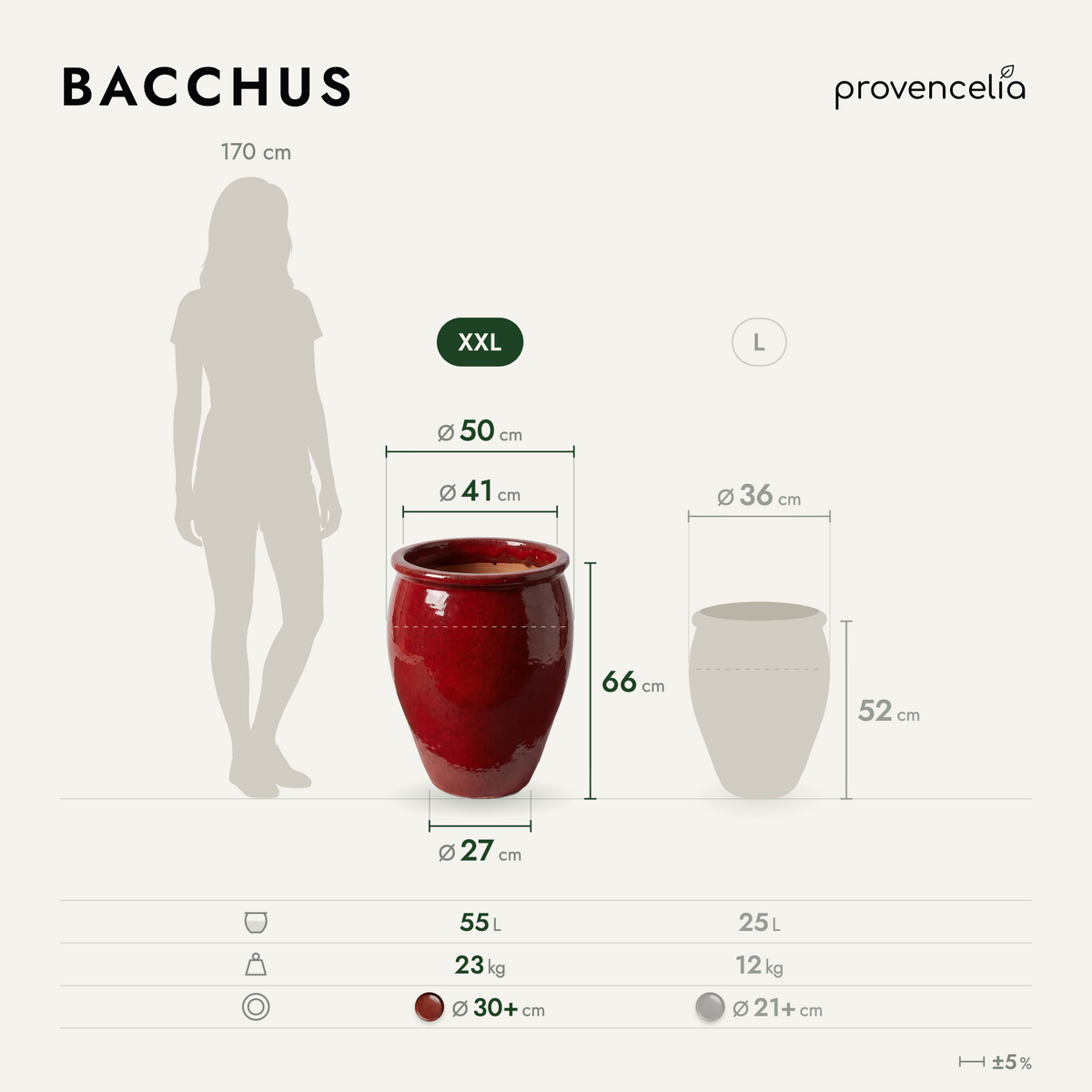 BACCHUS XXL – Maße