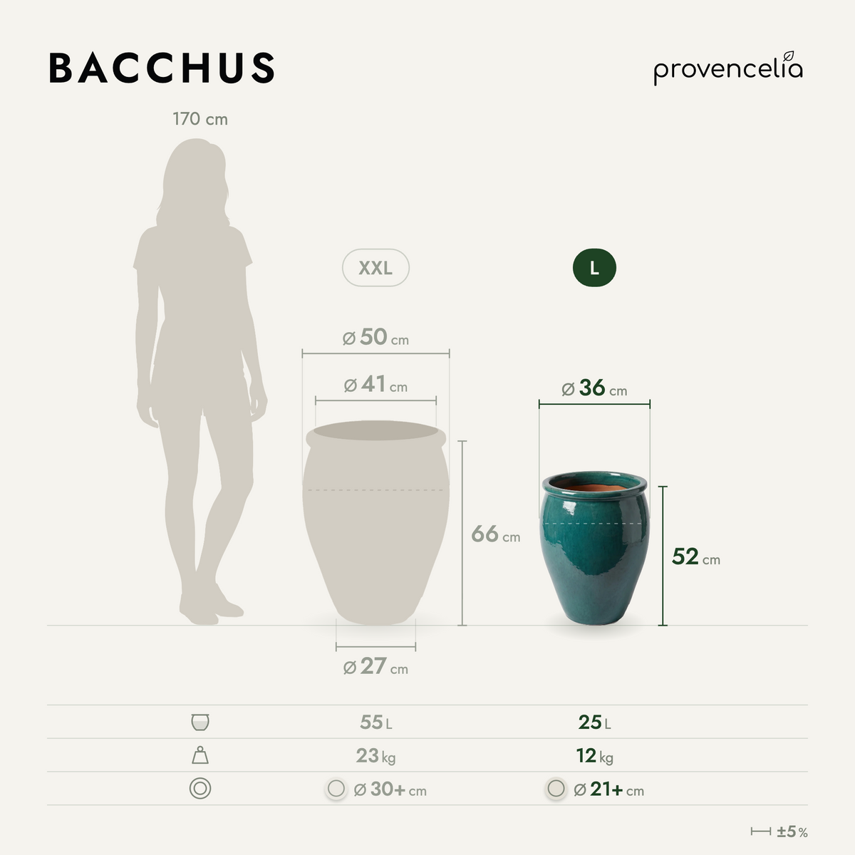 BACCHUS L – Maße