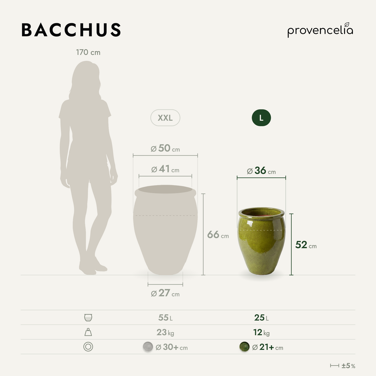 BACCHUS L – Maße