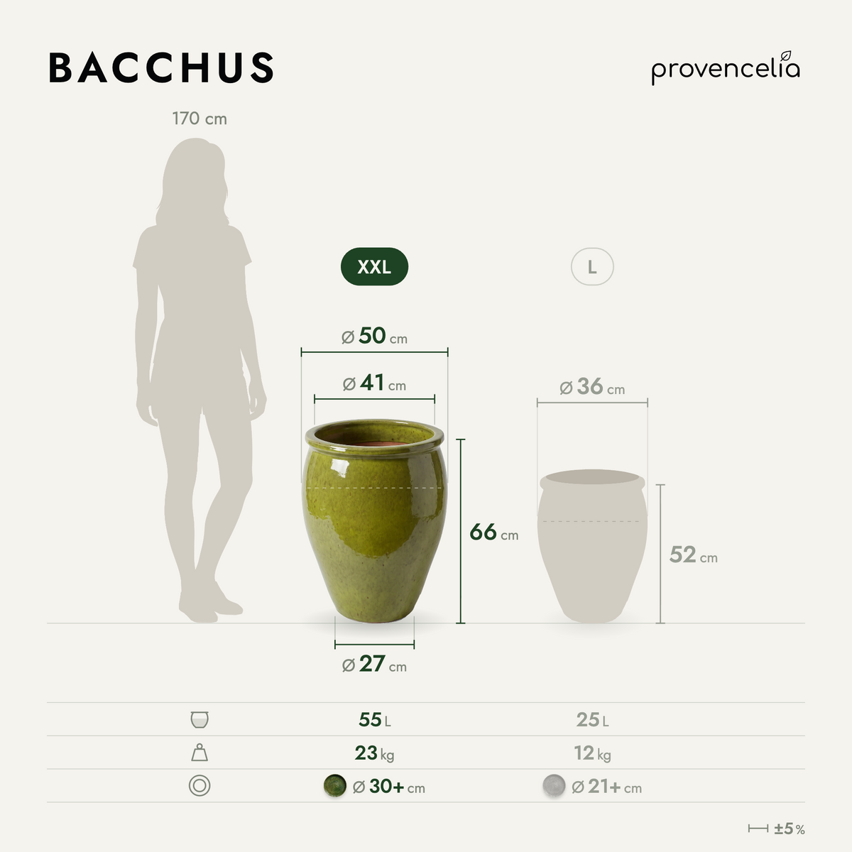 BACCHUS XXL – Maße