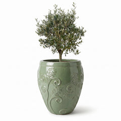 Olivenbaum im Topf GAIA (starker Stamm) 75×78cm — Jade-Perle