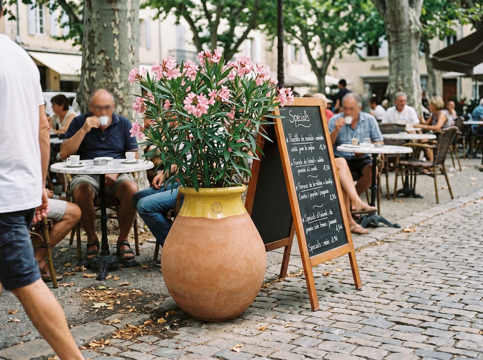 Biot mit blühendem Oleander auf einer Restaurantterrasse