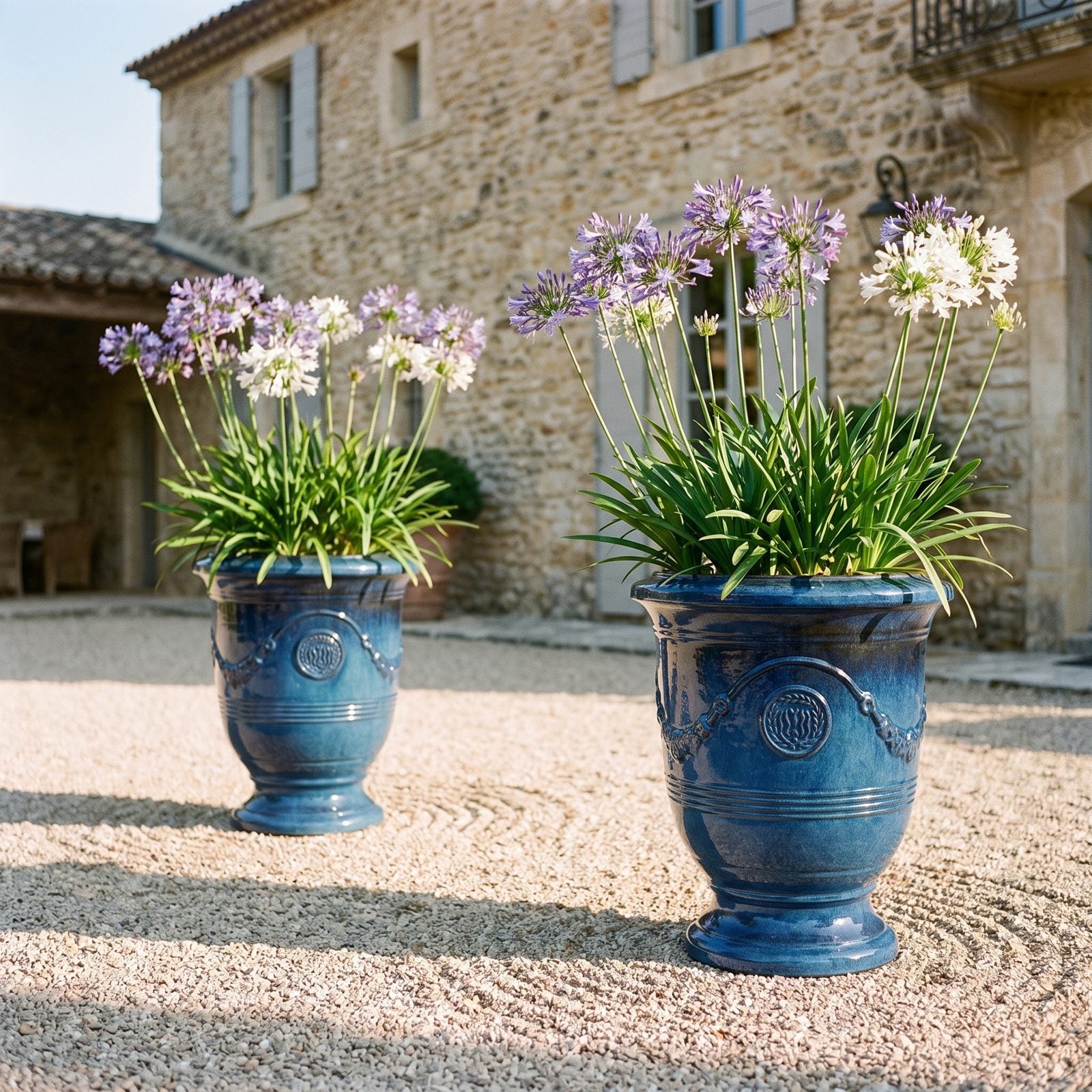 Zwei RICHELIEU Azurblau mit Schmucklilien vor einer Villa mit Kieshof