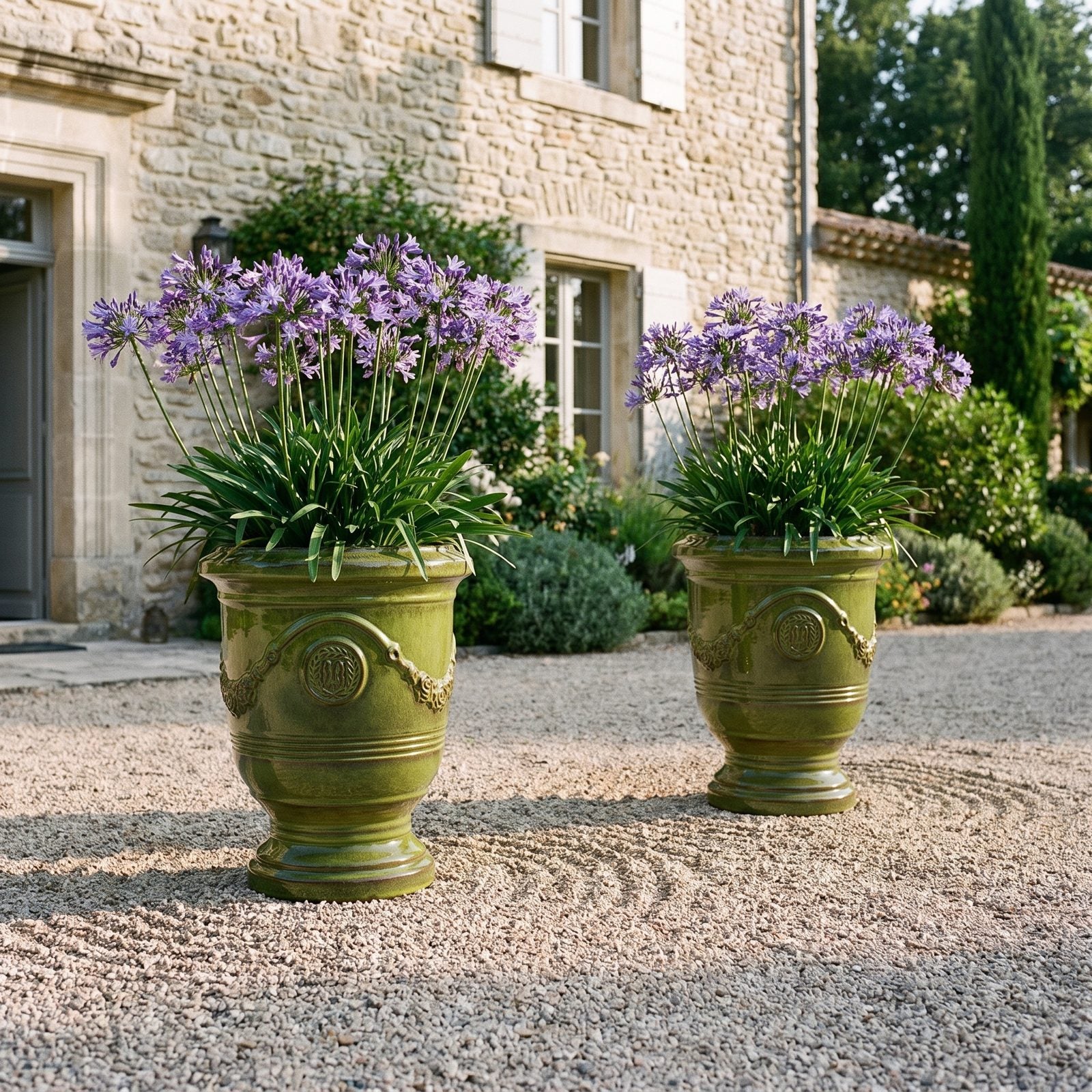 Zwei RICHELIEU Tropengrün mit Schmucklilien vor einer Villa mit Kieshof