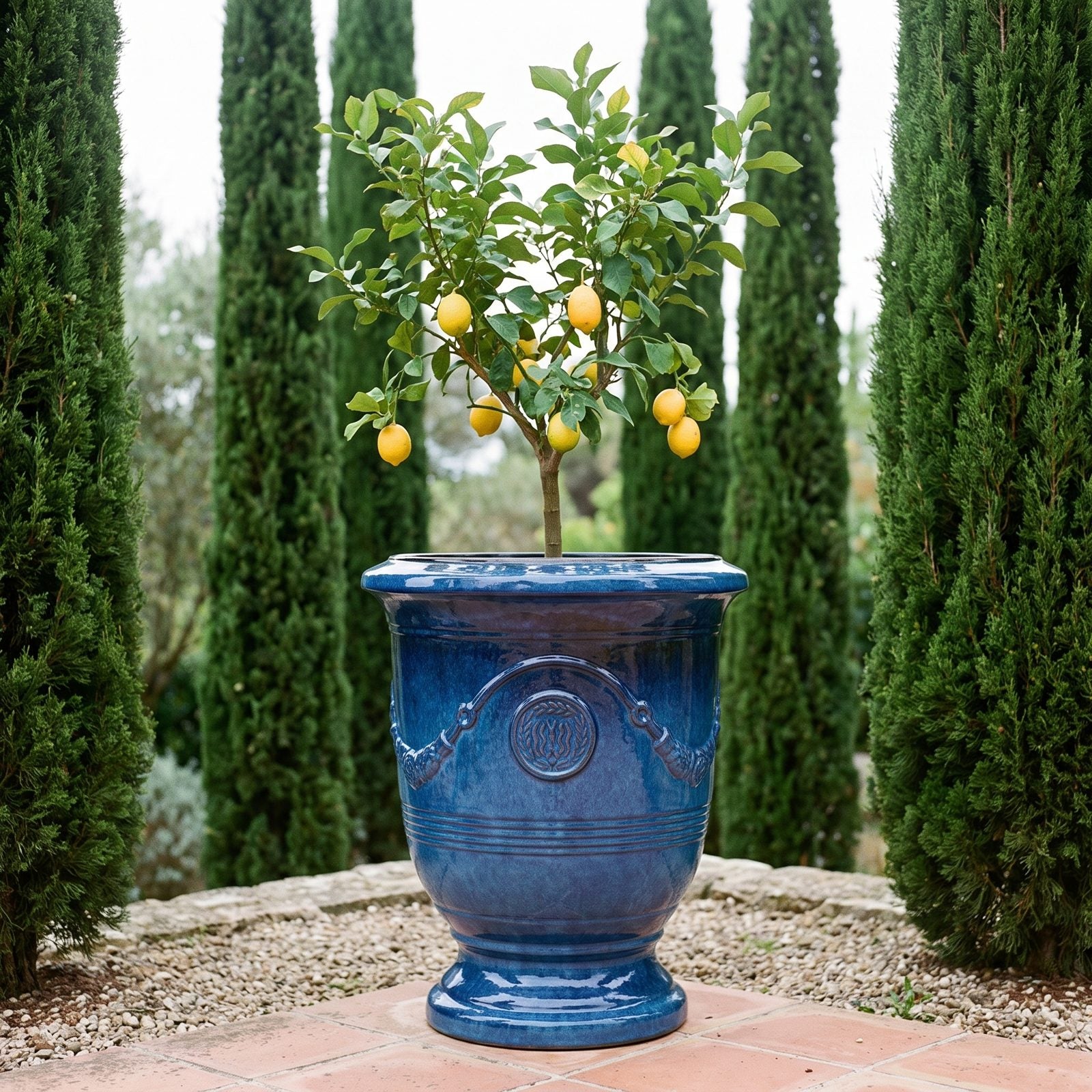 RICHELIEU Azurblau mit fruchtbehangenem Zitronenbaum in einer Zypressenallee