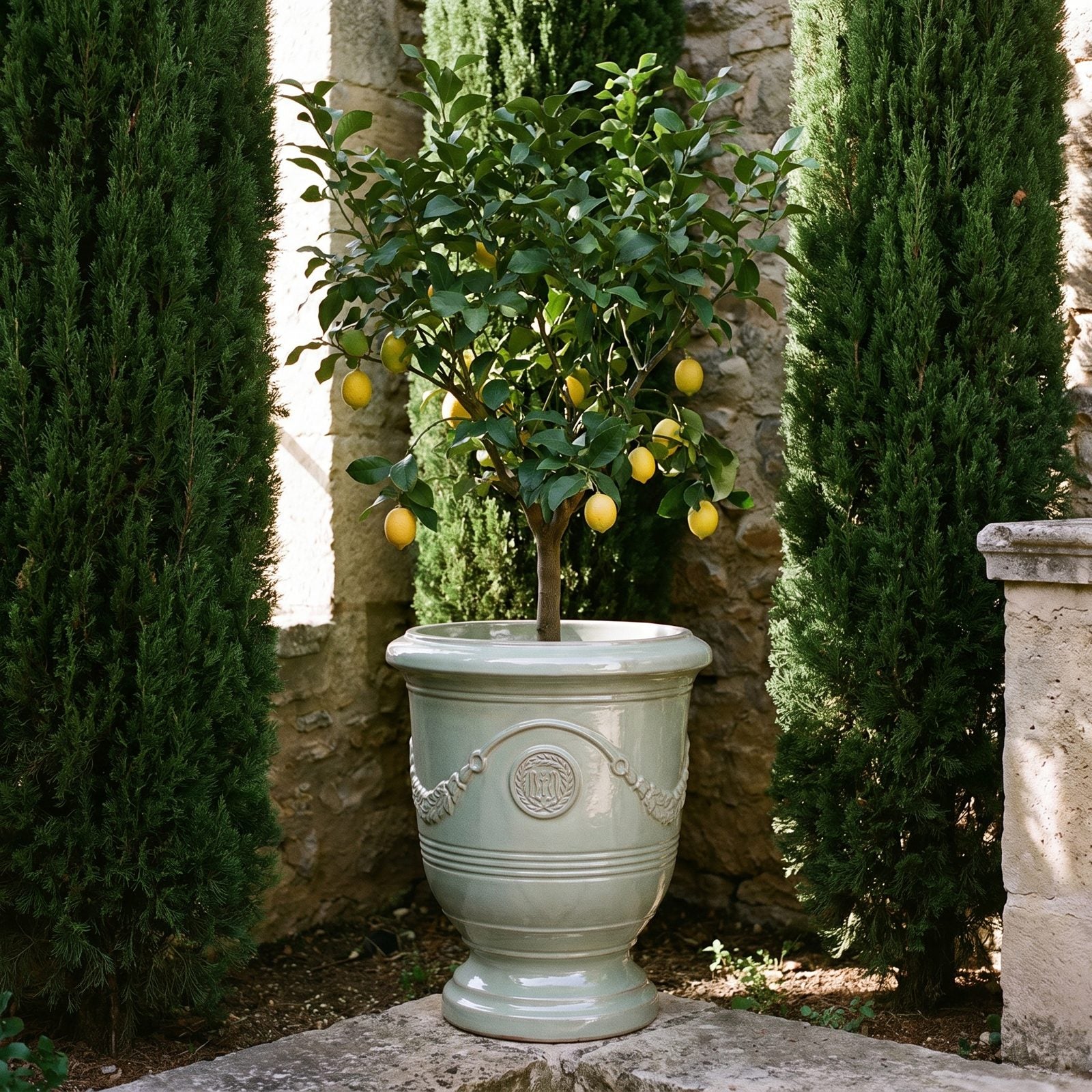 RICHELIEU Jade-Perle mit fruchtbehangenem Zitronenbaum in einer Zypressenallee